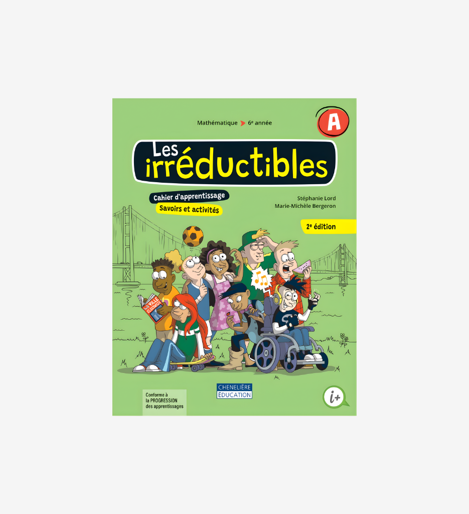 Les irréductibles, 2e édition, 6e année