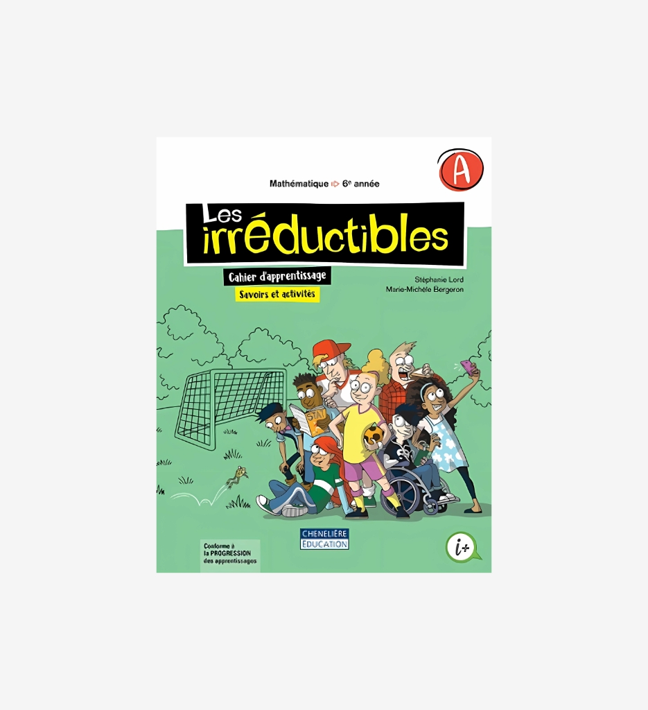 Les irréductibles, 1re édition, 6e année